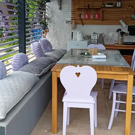 Camp, Campingin Your Own Tent, キャンプ場